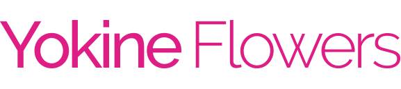 Debbies Flowers in York Logo